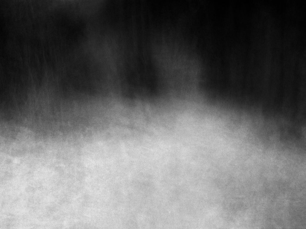 An abstract photo of the woods shot in black and white, perfect for any modern interior design.