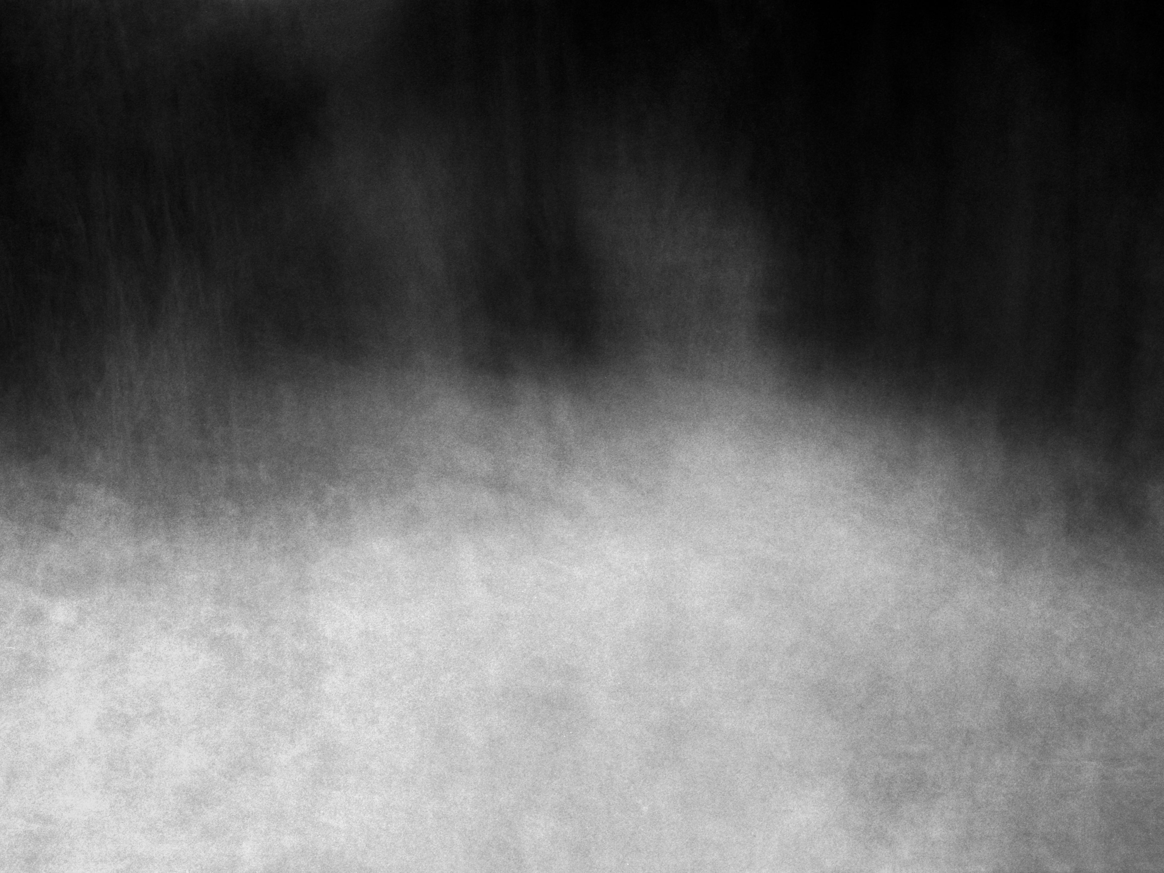 An abstract photo of the woods shot in black and white, perfect for any modern interior design.