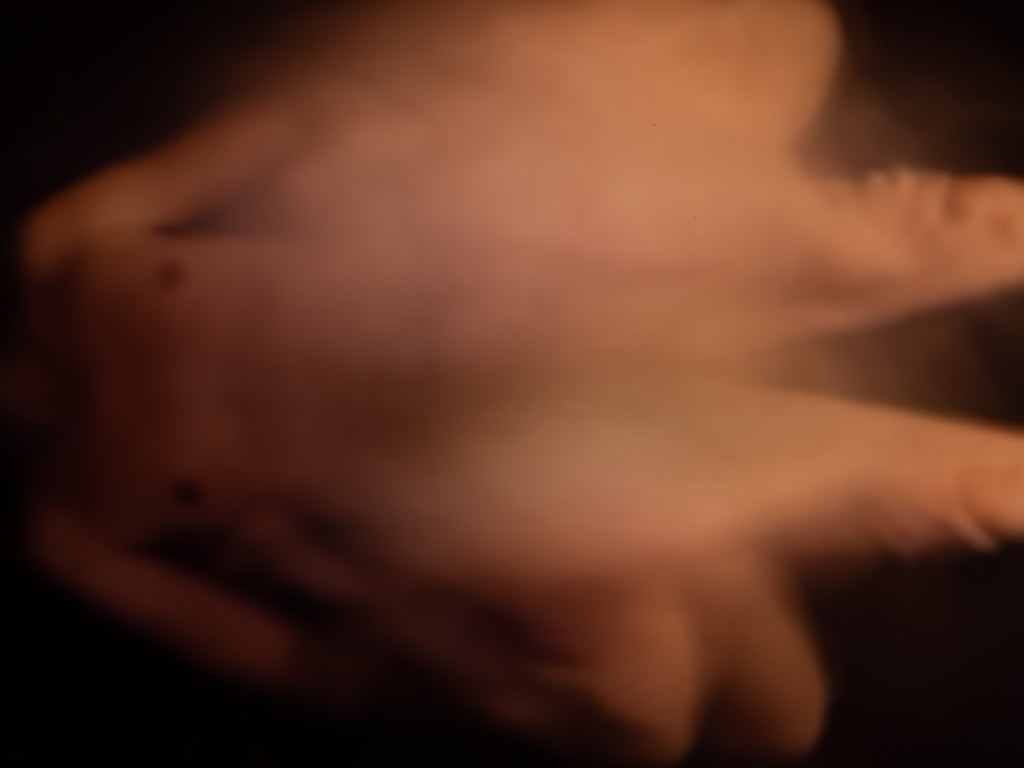 Impressionistic photo of sex in the abstract, printed on fine art giclee paper.